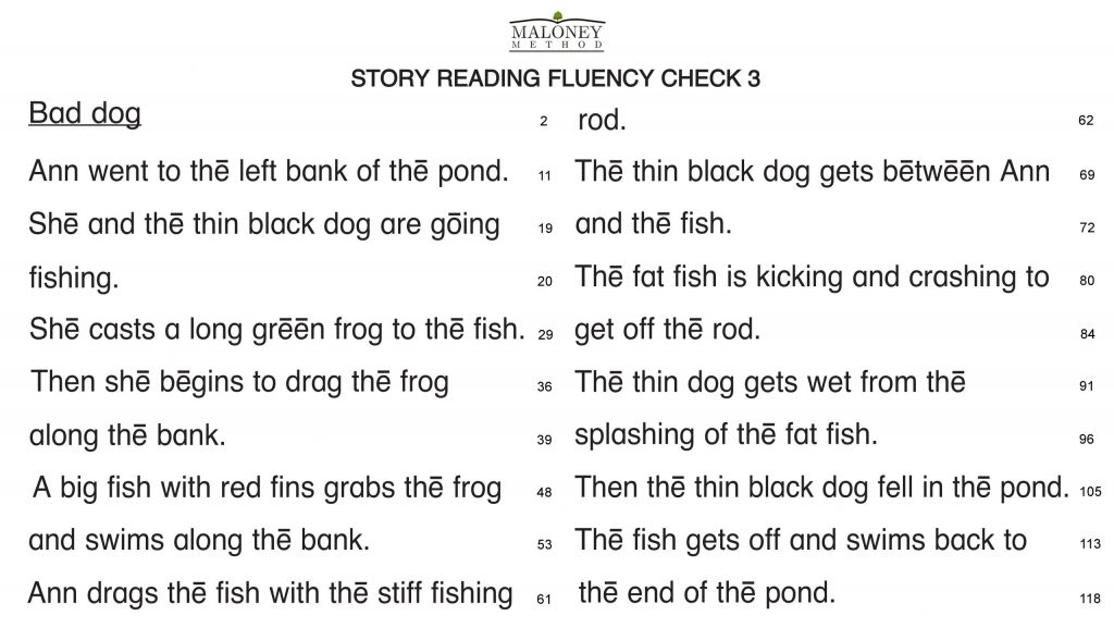 L1A Story Reading Fluency Check 3 Sample